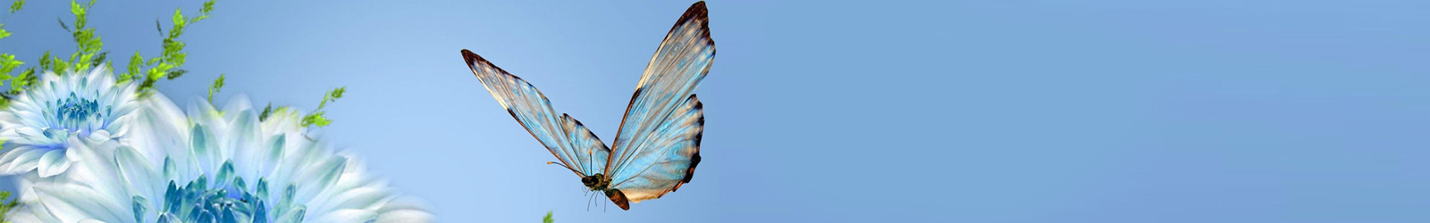 大连防腐亚洲AV麻豆三成人无码久久